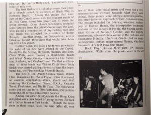 brief mention of Nervous Gender in 'Hardcore California'